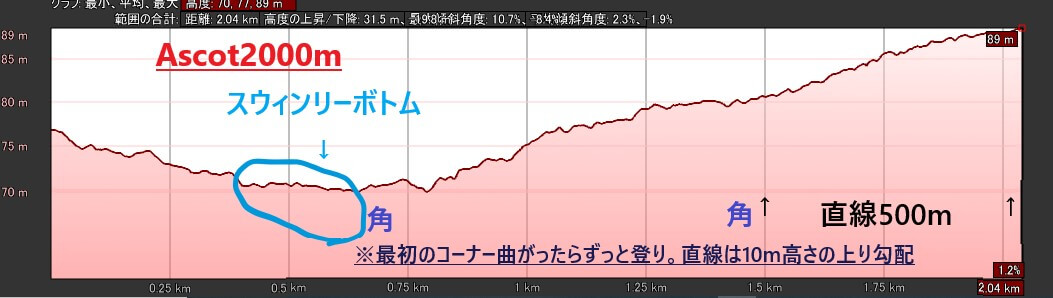 ディアドラの次走 果敢な欧州遠征と引退までのカウントダウン なんぽるとこわ別館