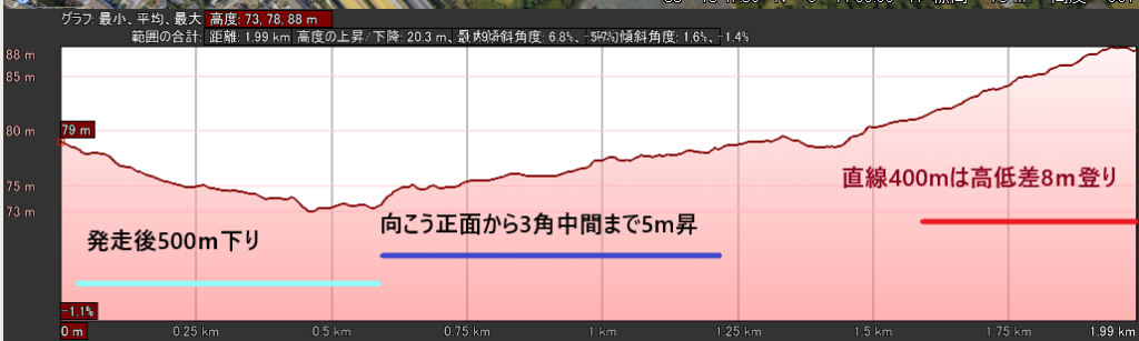 レパーズタウン競馬場高低差。愛チャンピオンSコース